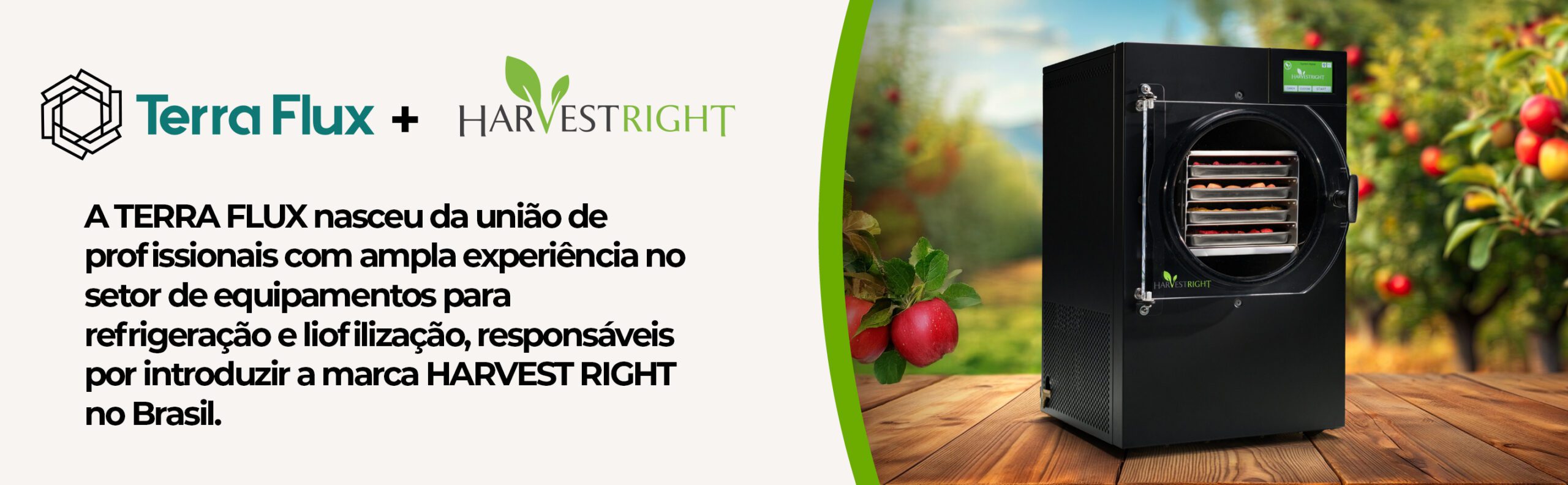 Frutas frescas em contexto de cultivo